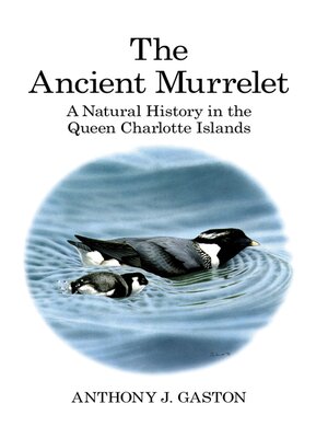 cover image of The Ancient Murrelet